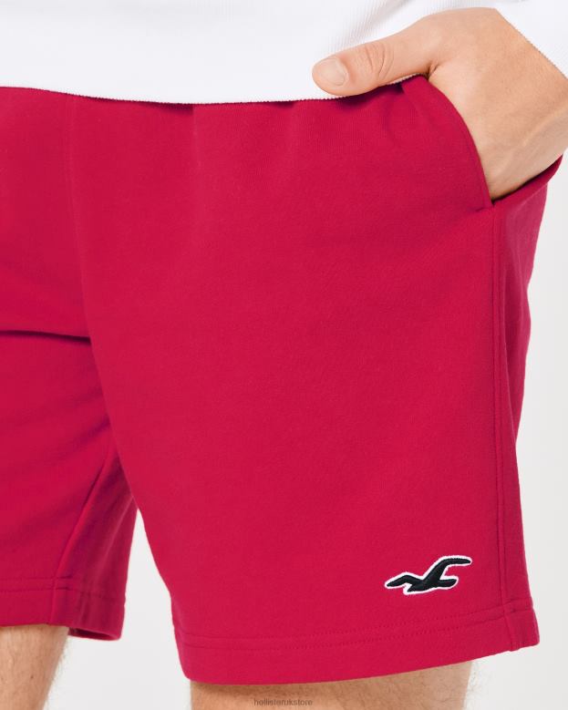 Bottoms Hollister Men Terry Fleece Logo Icon Shorts 7\\ 488201244 Red